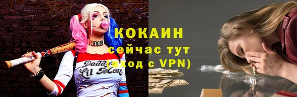 твердый Волоколамск