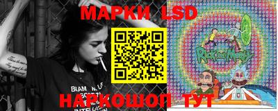 прущие грибы Донской