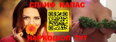 прущие грибы Донской